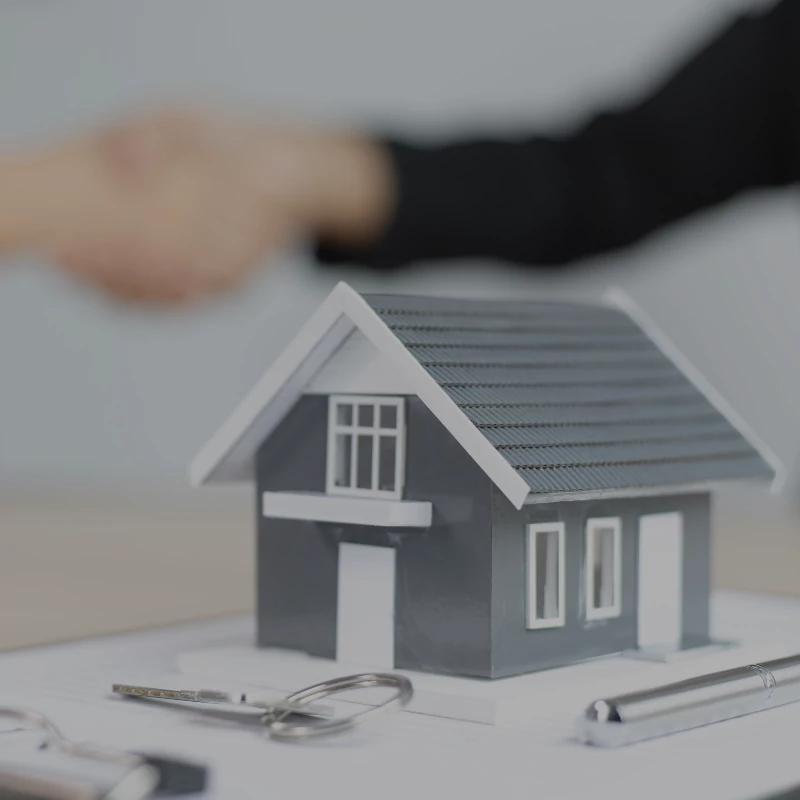 Why invest in IKN Nusantara property?